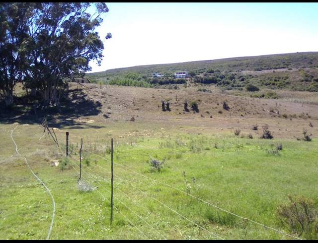 FARM FOR SALE IN STILBAAI RURAL